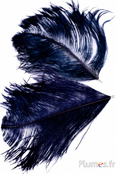 Ciondolo testa di struzzo - 17-20 cm - nero